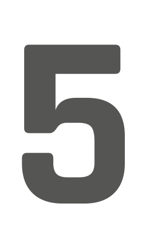 Number 5 Icon